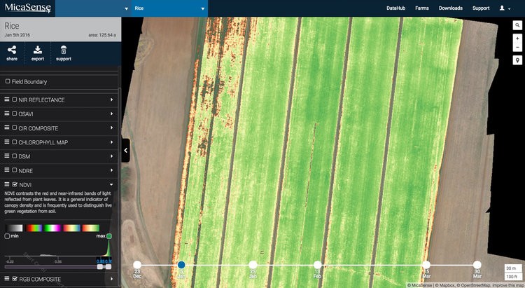 NDVI map after urea application