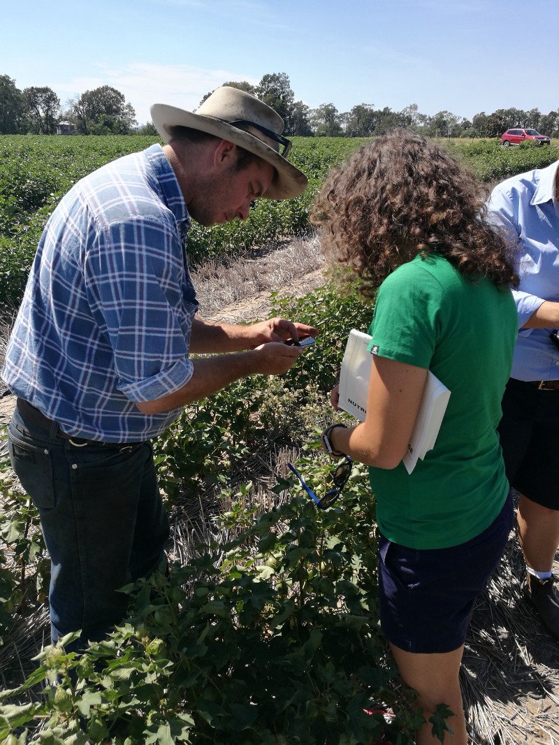 Flurosat team on a cotton field