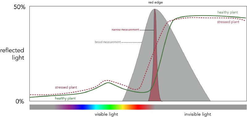 Narrow band vs. broad band sensor