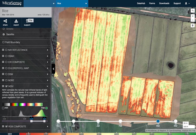 End of season NDVI map