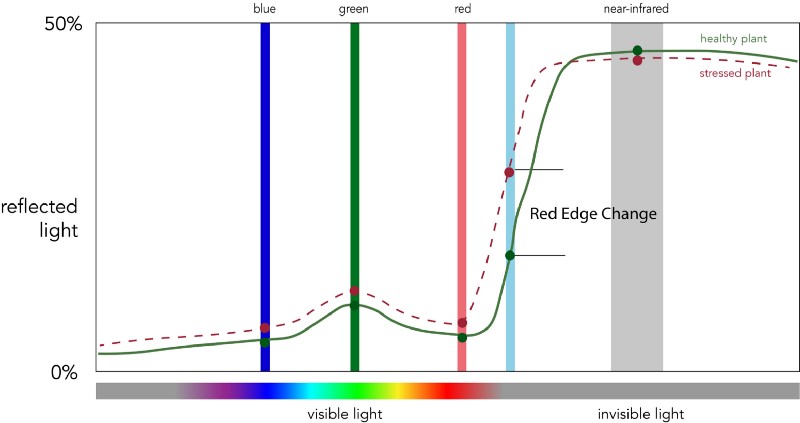 Plant spectral signature