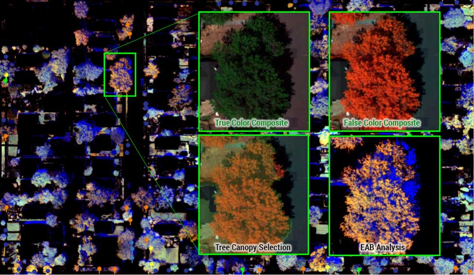 EAB analytics layers