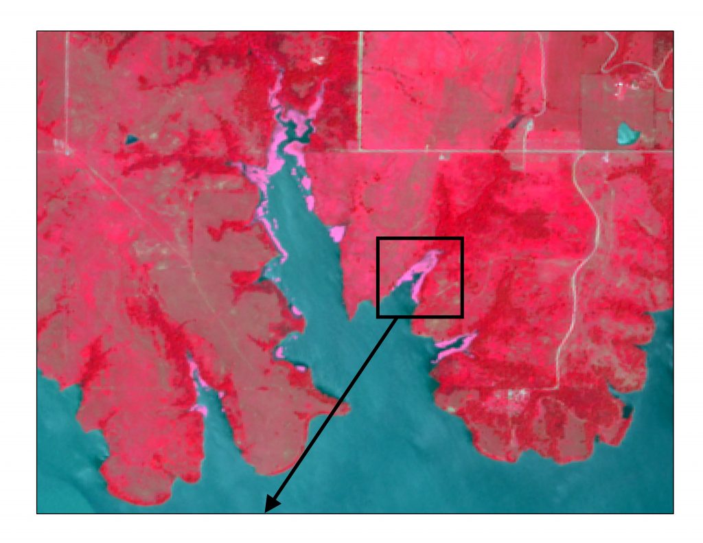 False Color Composite from Sentinel-2