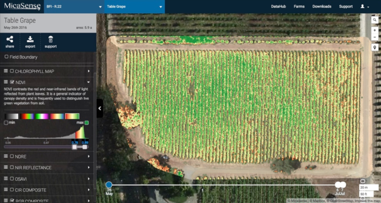 NDVI layer indicates in yellow the stressed vines on the field perimeter.