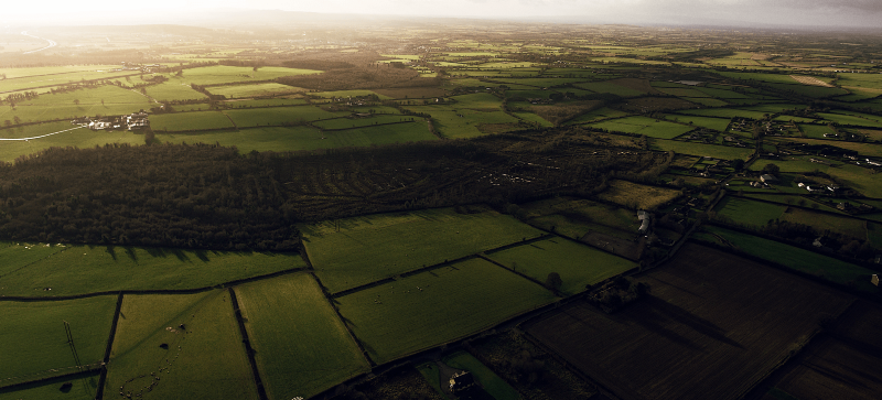 Agricultural fields 