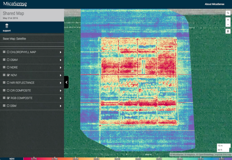 NDVI Map