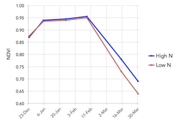 NDVI graph