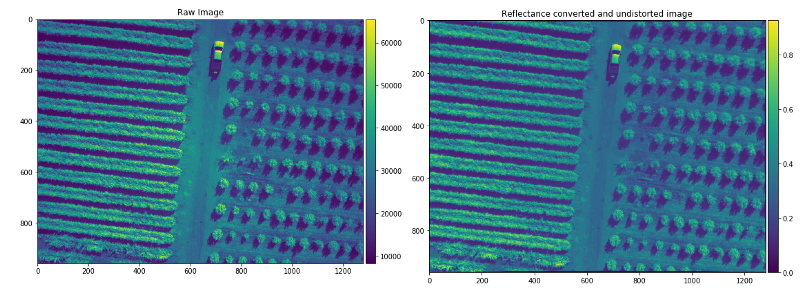 Raw data and reflectance map