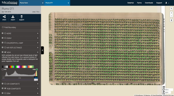 NDVI of the orchard