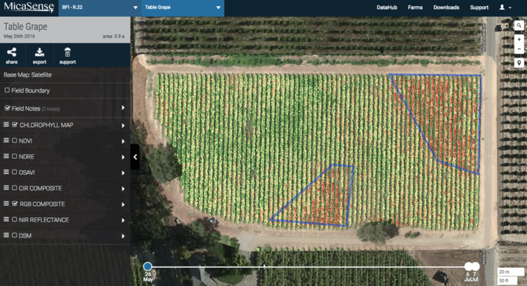 A Chlorophyll Map highlights in red vines that are chlorotic